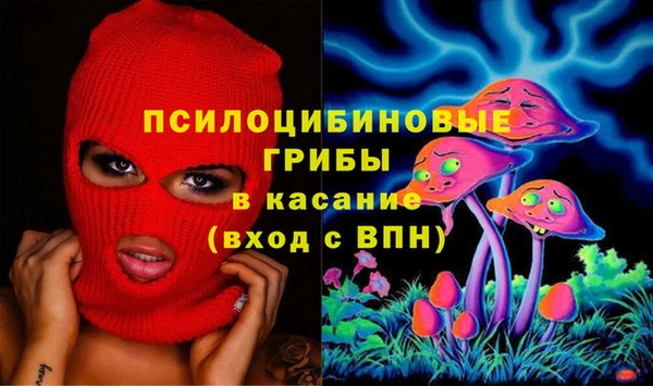 твердый Алексеевка