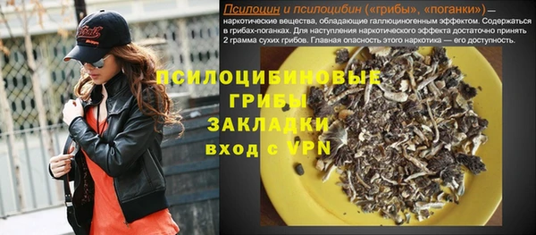 сатива Абаза