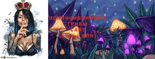 твердый Алексеевка
