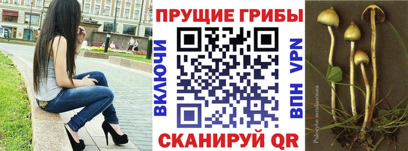 Галлюциногенные грибы Cubensis  Арск 